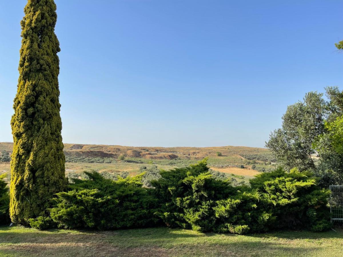 Villa Ba'Gefen Karmei Yosef Extérieur photo
