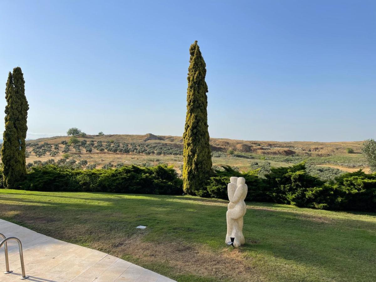 Villa Ba'Gefen Karmei Yosef Extérieur photo